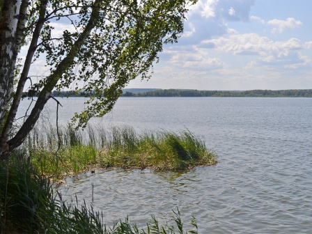 Брынское водохранилище